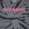 Miniatyrbild 2 av 4: Iron Maiden Band Logo Tie Dye T Shirt