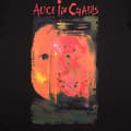 Miniatyrbild 3 av 4: Alice In Chains Jar of Flies T Shirt