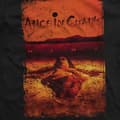 Miniatyrbild 2 av 3: Alice In Chains Dirt Album Cover T Shirt