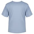 Miniatyrbild 3 av 3: Superdry Tonal Vl Graphic Relaxed T-shirt Med Korta ärmar Blå S Kvinna