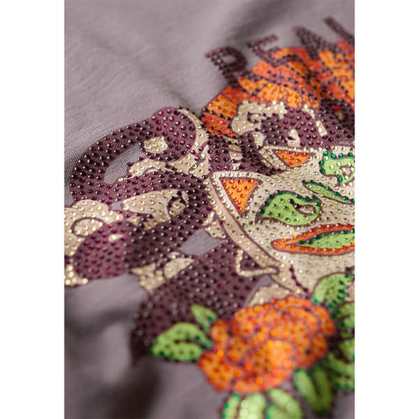 Superdry Tokyo Vl Graphic T-shirt Med Korta ärmar Grå M Kvinna