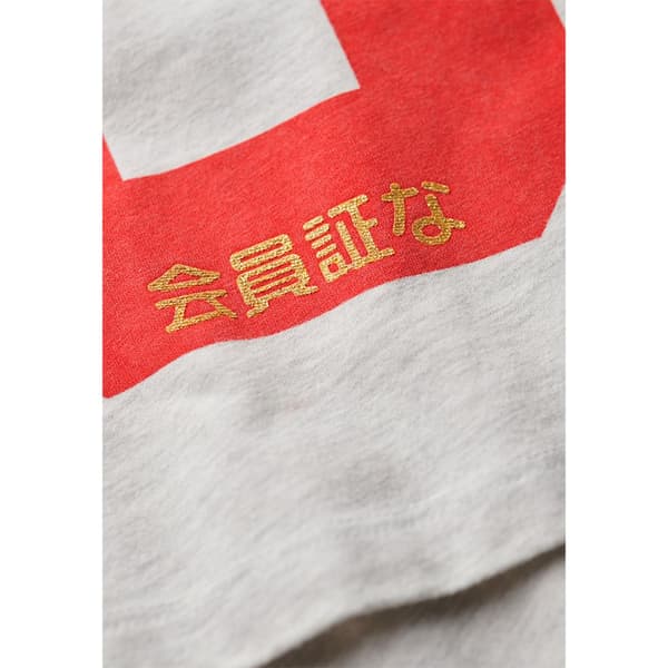 Superdry Osaka Graphic Fitted T-shirt Med Korta ärmar Grå M Kvinna