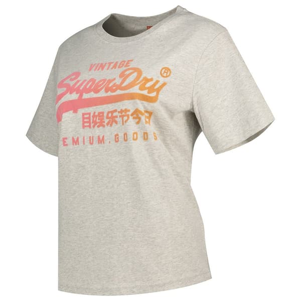 Superdry Tonal Vl Graphic Relaxed T-shirt Med Korta ärmar Grå S Kvinna