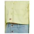 Pikkukuva 6 / 7: Dickies Culpeper Pitkähihainen Kauluspaita Keltainen S Nainen