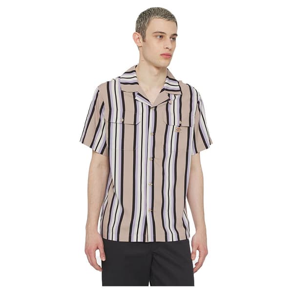 Dickies Forest Kortärmad Skjorta Beige M Man