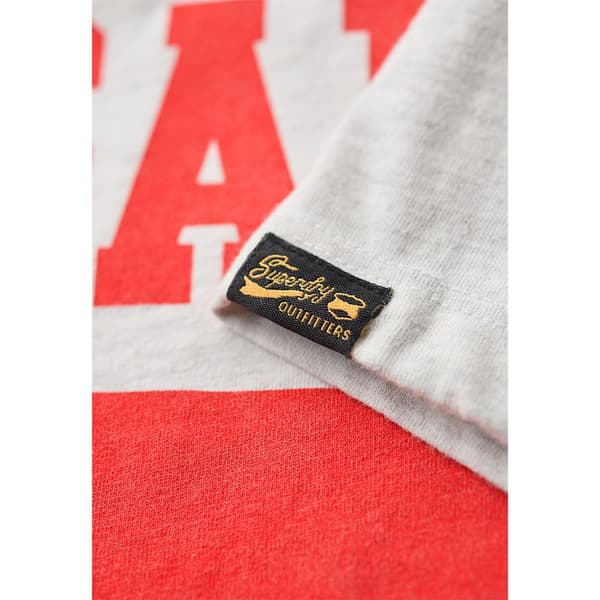 Superdry Osaka Graphic Fitted T-shirt Med Korta ärmar Grå XS Kvinna