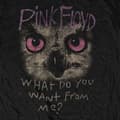 Miniatyrbild 2 av 3: Pink Floyd Owl WDYWFM Band Logo T Shirt