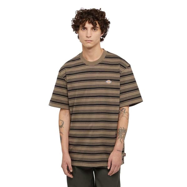 Dickies Stevensville Stripe T-shirt Med Korta ärmar Brun S Man