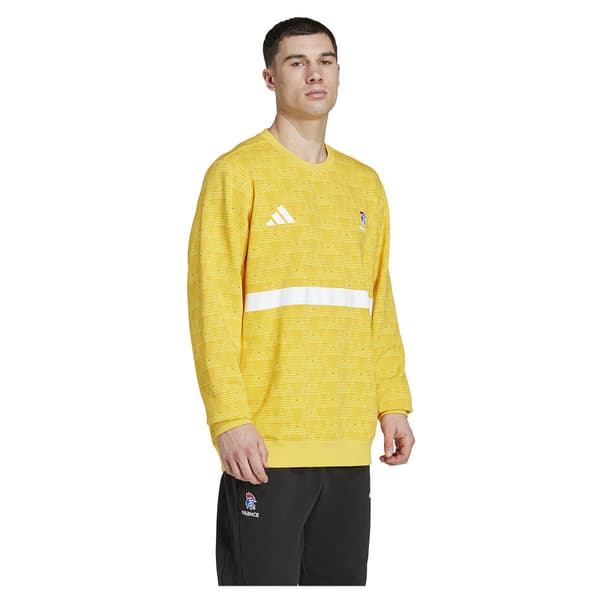 Adidas France Goalkeeper Pitkähihainen T-paita  M Mies