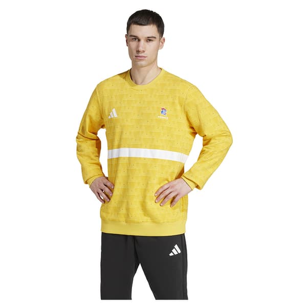 Adidas France Goalkeeper T-shirt Med Lange ærmer  L Mand