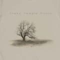 Miniatyrbild 2 av 3: Stone Temple Pilots Perida Tree T Shirt