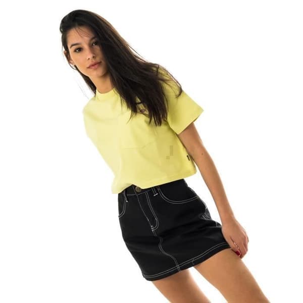 Dickies Dam T-shirt Dickies Ss Dam