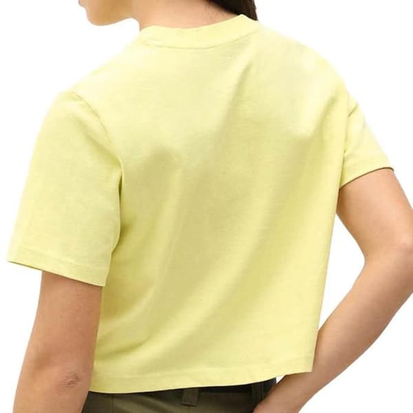 Dickies Dam T-shirt Dickies Ss Dam