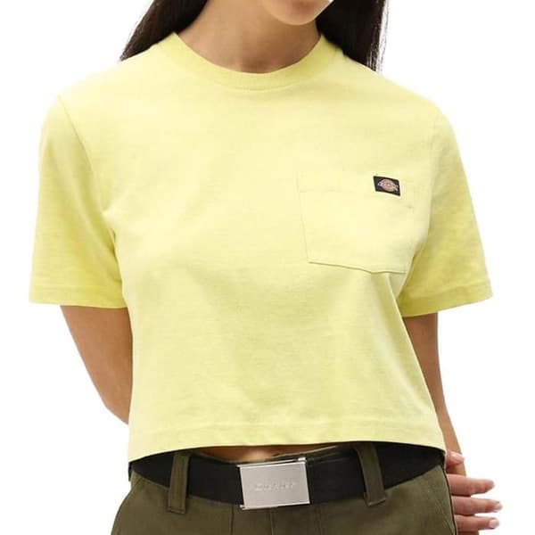 Dickies Dam T-shirt Dickies Ss Dam