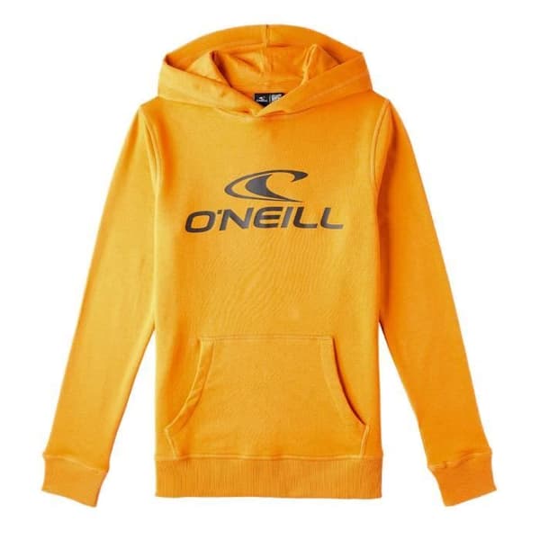 O'Neill Boy's Sweatshirt - Orange - Långa ärmar - Med huva