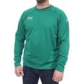 Miniatyrbild 1 av 2: Sweatshirt Hungaria modell träning premium 15 herr - Grön
