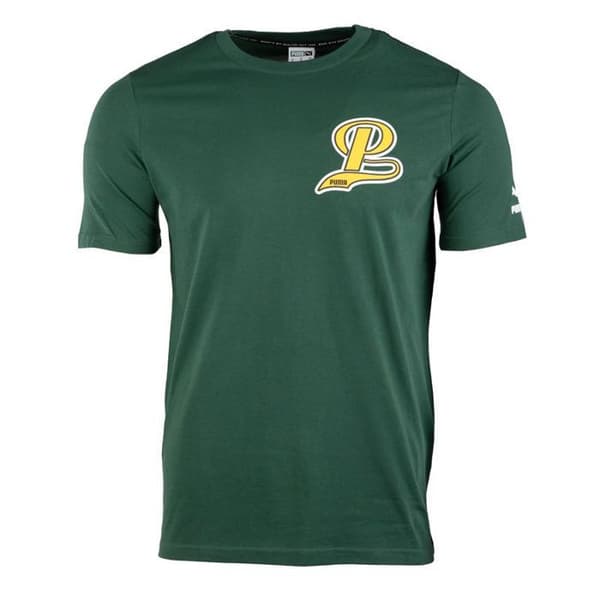 T-shirt Grön Herr Puma Fd Table