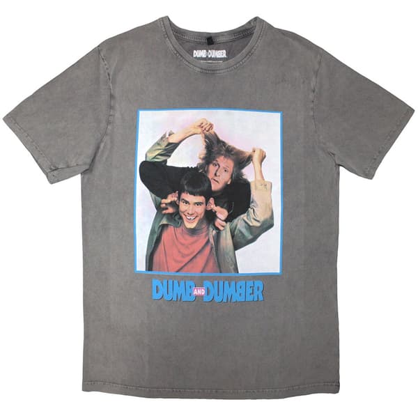 Dumb & Dumber Unisex Stone Wash T-Shirt: Movie Poster (Grey) (X-Large)