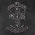 Miniatyrbild 2 av 3: Guns N' Roses Monochrome Cross Dip Dye T Shirt