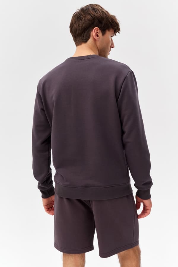Miesten collegepaita COTTON ACTIVE MEN