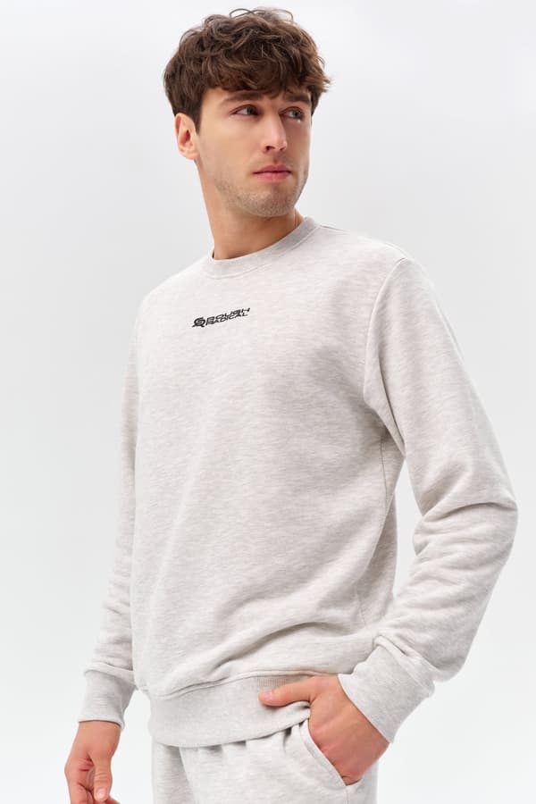 Miesten collegepaita COTTON ACTIVE MEN