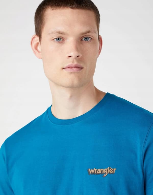 Wrangler GRAPHIC LOGO T-PAITA Ocean Depths PUUVILLAINEN LOGOLLINEN T-PAITA L
