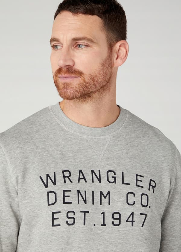 Wrangler GRAPHIC CREW SWEAT Mellangrå Melee GRÅ MÖNSKAD SWEATSHIRT L
