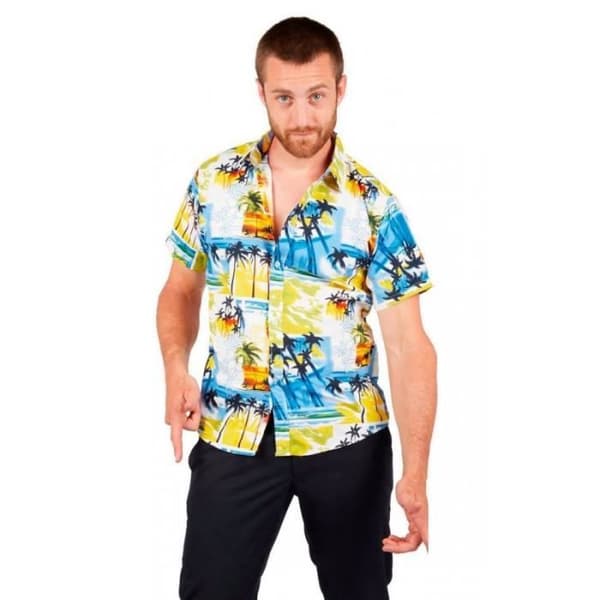 Hawaiiskjorta Man PtitClown Flerfärgad