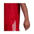 Miniatyrbild 4 av 4: ADIDAS Condivo 21 Fotbollströja Röd - Herr/Vuxen - Korta ärmar