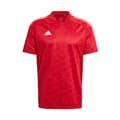 Miniatyrbild 1 av 4: ADIDAS Condivo 21 Fotbollströja Röd - Herr/Vuxen - Korta ärmar