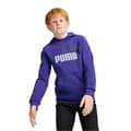 Miniatyrbild 2 av 5: Hoodie - Puma - Essentials+ Big Logo - Tvåfärgad - Kille - Långa ärmar