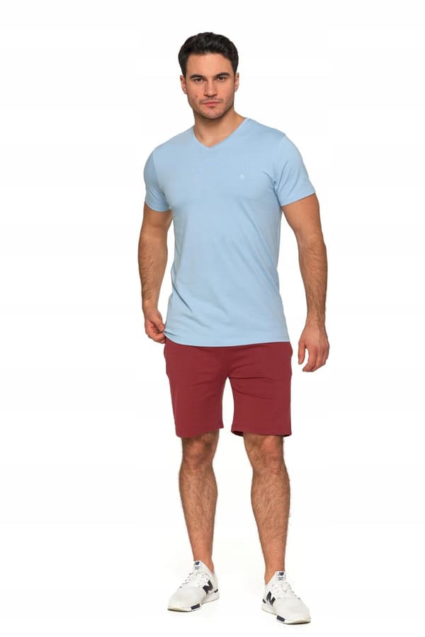 HERRET-SHIRT Ensfarvet PREMIUM T-shirtbluse med MORAJ-logobroderi L