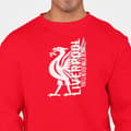 Miniatyrbild 1 av 2: Liverpool stil Sweatshirt- Logo design med YNWA