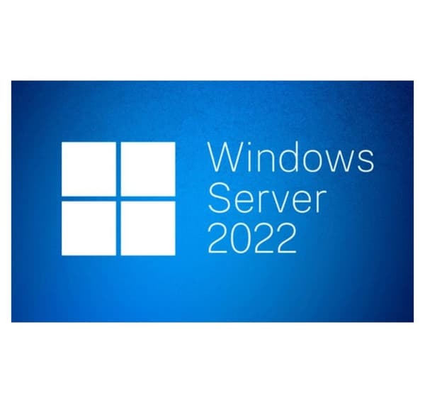 Sw oem win svr 2022 std/eng 64b 1pk 16cr p73-08328, MS