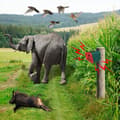 Thumbnail 11