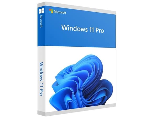 Software win pro fpp 11 64-bit eng intl usb (win pro, detail, hav-00163), Microsoft