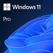 Software  win 11 pro ggk 64bit eng intl 1pk dsp ort oei dvd (win pro, oem, english, 4yr-00316), Microsoft