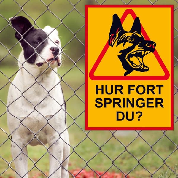 HUR FORT SPRINGER DU? Skylt Hundskylt / Varningsskylt Hund / A5