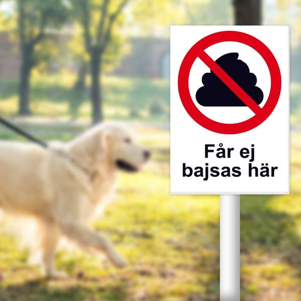 Får ej bajsas här skylt / Hundskylt / Varningsskylt Hund / A5