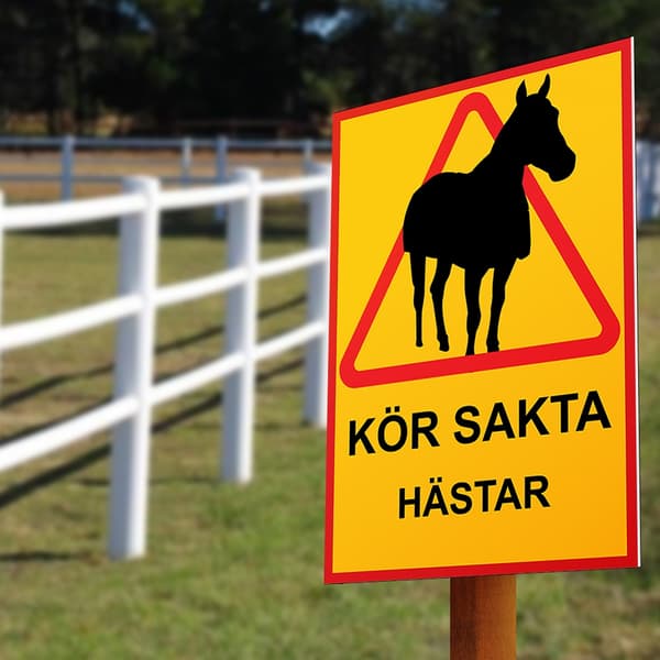 Kör sakta Hästar - Skylt / Varningsskylt - Trafikskylt A3