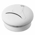 Miniatyrbillede 1 af 6: Røgalarm Calex Wi-Fi 2.4 GHz