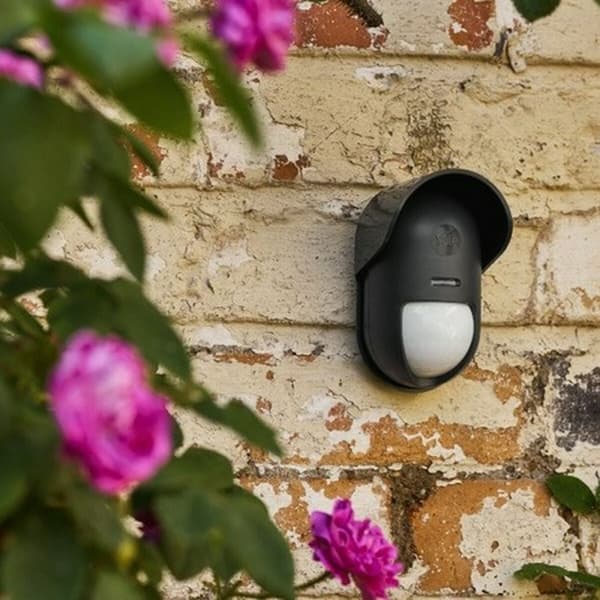 Intelligent Sensor til Døre og Vinduer Yale AL-EPIR-1A-G