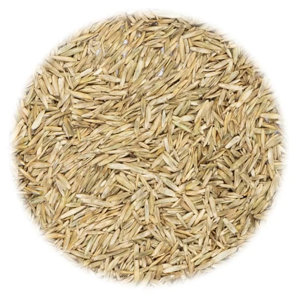 vidaXL Nurmikon siemenet 15 kg -  Siemenet
