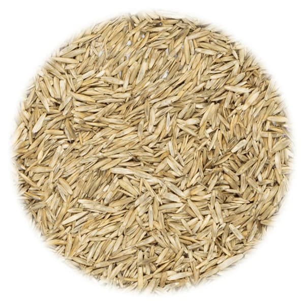 vidaXL Gräsfrön Gazon 5 kg -  Frön