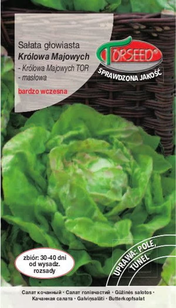 Smörhuvudsallatfrön Queen of May Torseed 2g