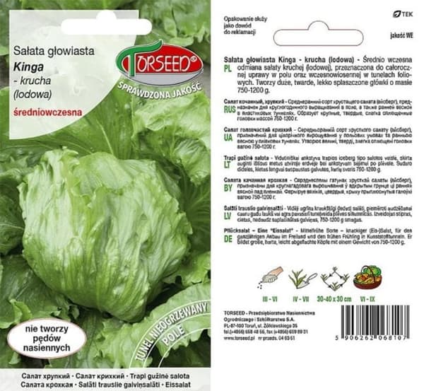Kinga-salaatin siemenet, rapea jäävuorisalaatti 0,5 g