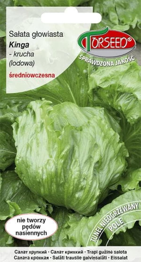 Kinga-salaatin siemenet, rapea jäävuorisalaatti 0,5 g