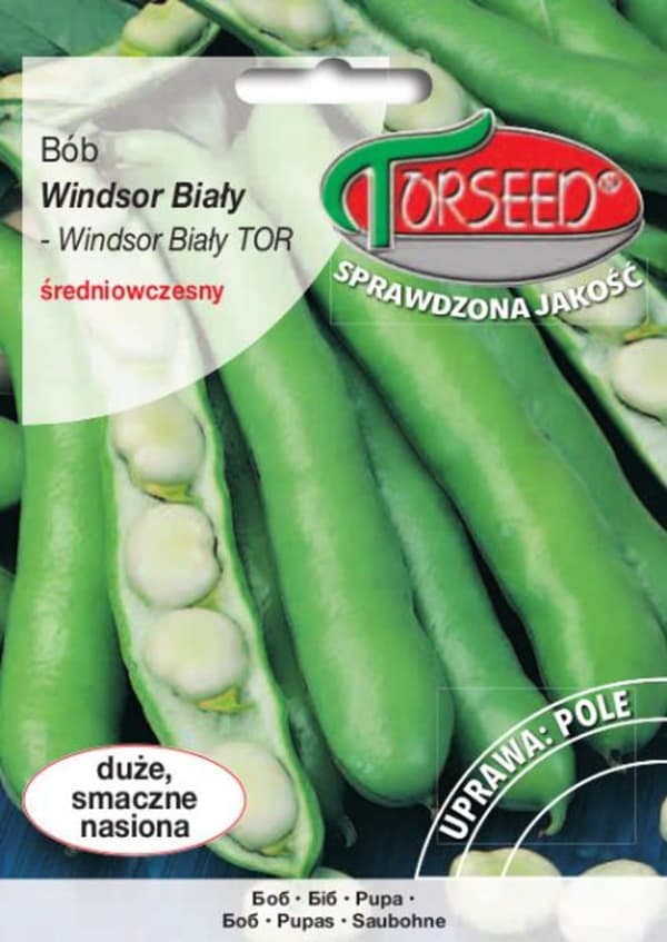 Bredbønnefrø Windsor Hvide Torseed 50g