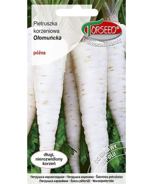 Frön av persiljerot Olomouc 3g