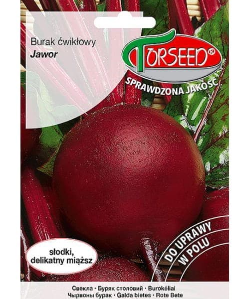 Rødbedefrø Ahorn 10g